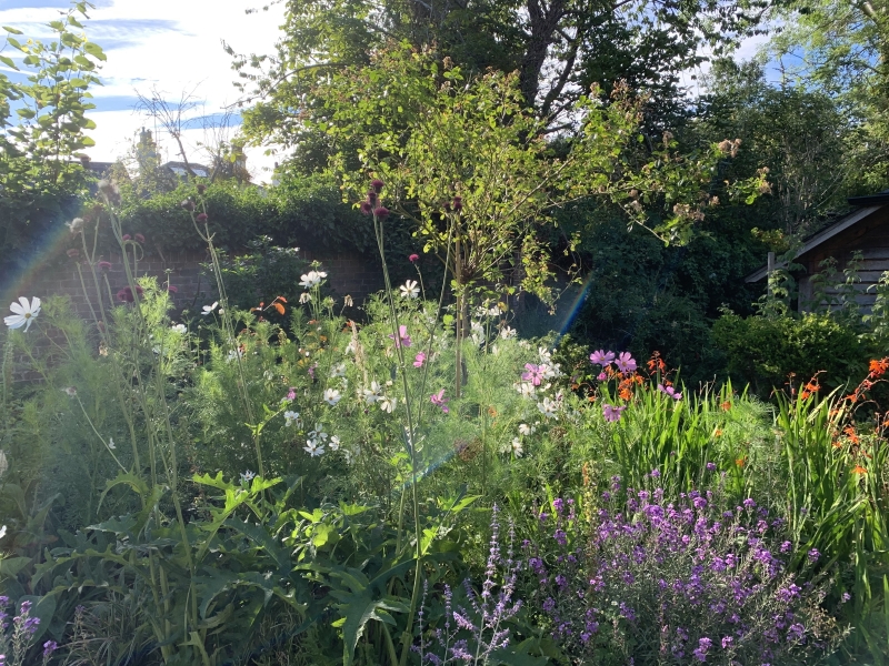 Meadow Cottage